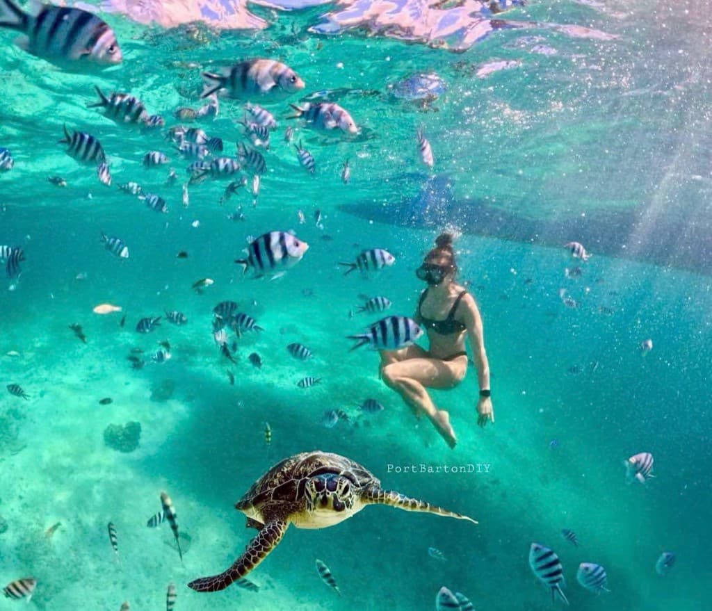 Snorkeling with a sea turtle in clear turquoise water